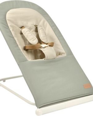 Beaba Foldable Bouncer Eazy Relax Lichen