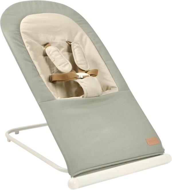 Beaba Foldable Bouncer Eazy Relax Lichen