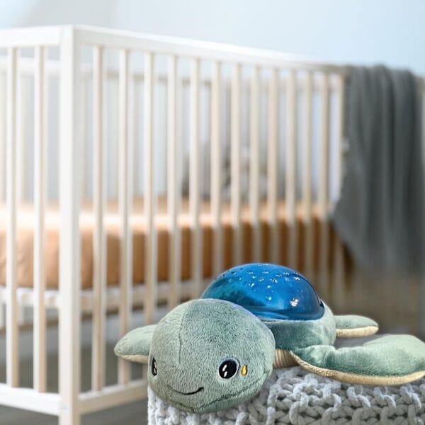 Pabobo Rechargeable Projector Turtle Aqua Dream Green