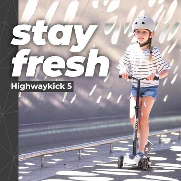 Scoot & Ride Highwaykick 5 LED Ash - Image 3